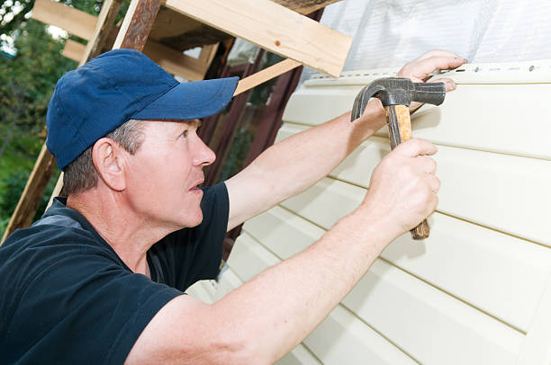 Best Shed Removal  in Mayville, NY
