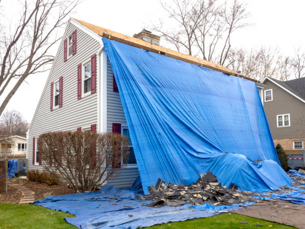 Best Yard Waste Removal  in Mayville, NY