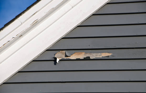 Best Appliance Removal  in Mayville, NY